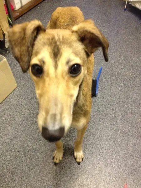 12583737 10153136679030194 650289235 n