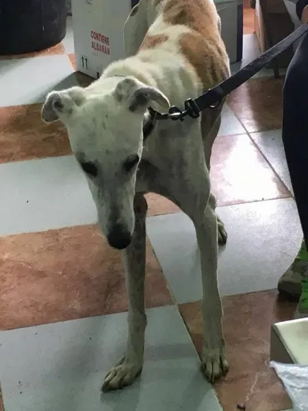 12592372 1007981605952361 6775339647885209939 n