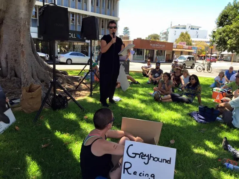 12592461 1047158852037139 632810008586033727 n