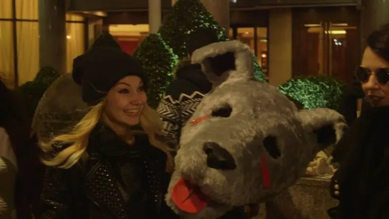 12592662 425991137611189 5172908327085166050 n