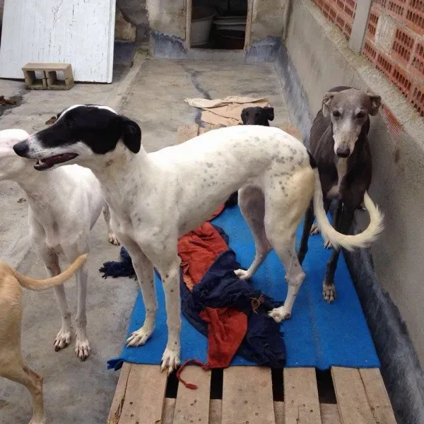 12596378 10207881751075469 505552271 n