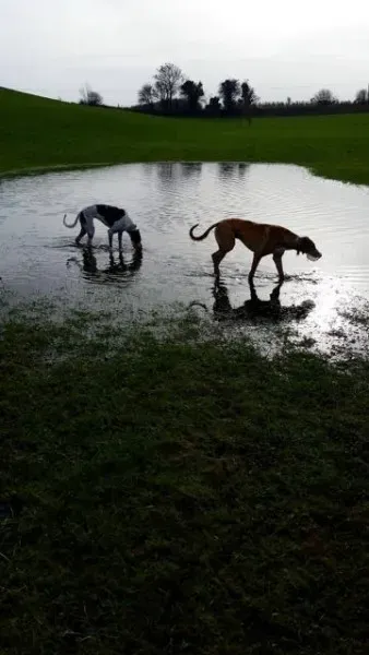 12596525 10208655764261180 1307149786 o 1