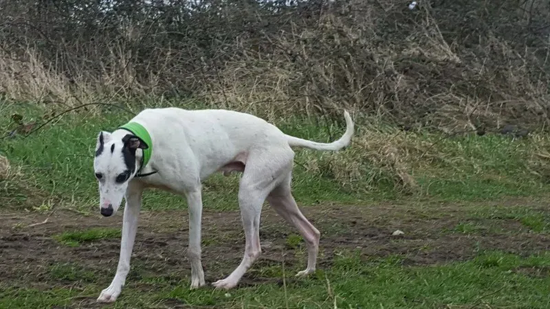 12596736 10207714273388406 1960290612 o