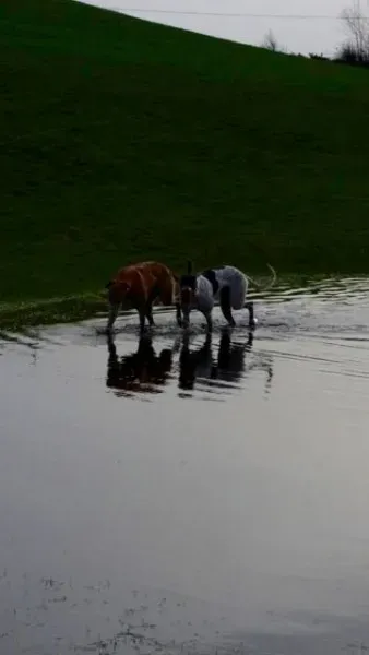 12596771 10208655763981173 489642361 o 1