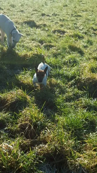 12597065 10207533581511222 1520324919 o