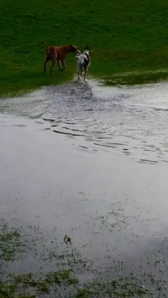 12620510 10208655765421209 629737475 o 1