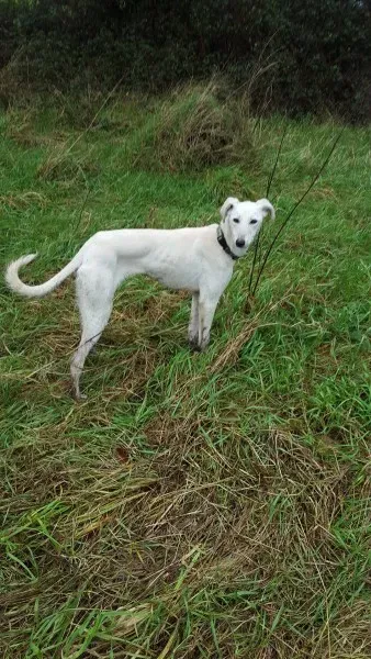 12620577 10207342224287411 156438481 o 2