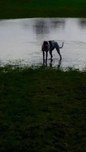 12620861 10208655764461185 558274831 o 1