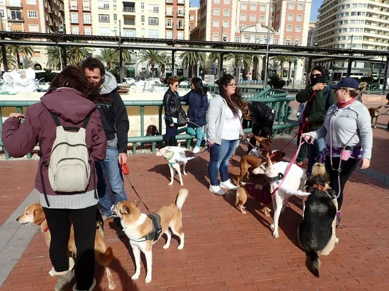 12622414 10153205714480793 3383262847592654081 o