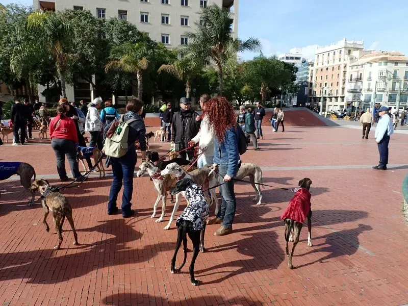 12622555 10153205709540793 2955738733572252205 o