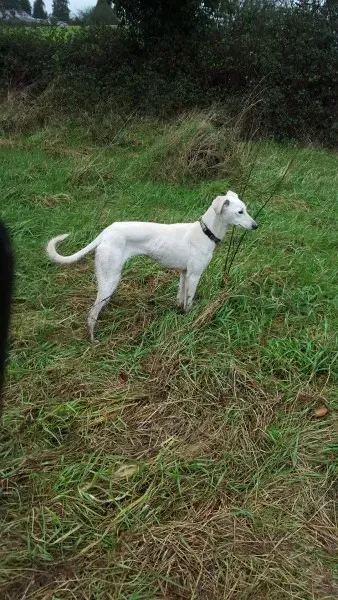 12630667 10207342224367413 557327620 o 2