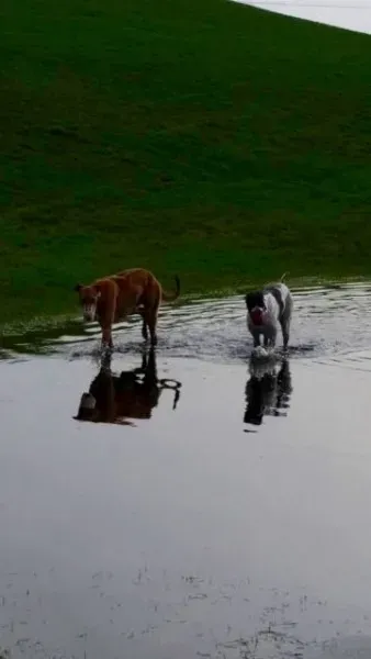 12631257 10208655766261230 1473596140 o 1