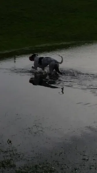 12633049 10208655765061200 2038036144 o 1