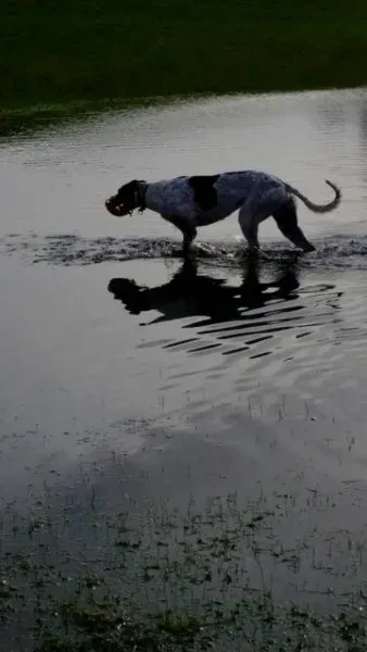 12636970 10208655765981223 1661087090 o 1