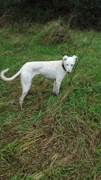 12637074 10207342224247410 1006446465 o 2