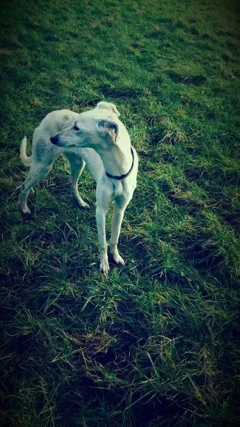 12637261 10207350057523237 1296694802 o