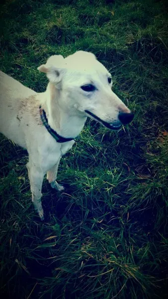 12637409 10207350054323157 911796703 o