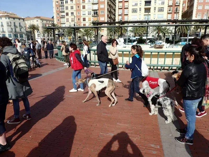 12640508 10153205705025793 6318918534301541436 o