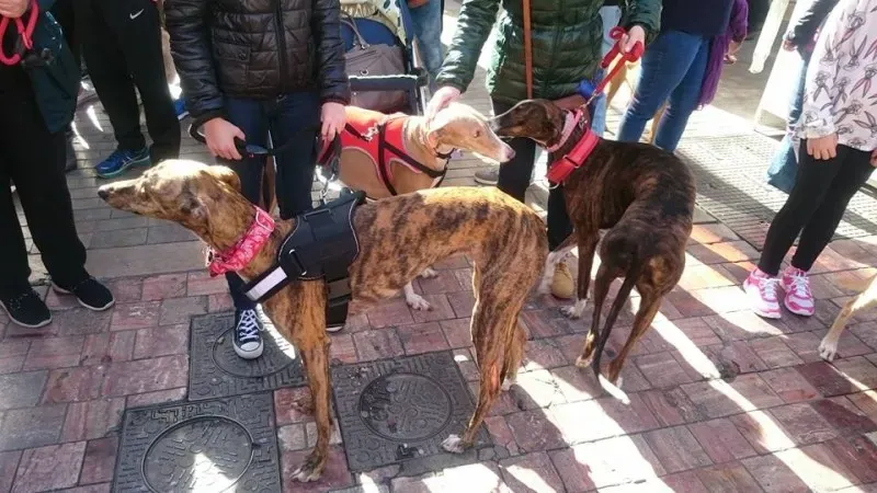 12642506 10208701503721954 2578695352962805585 n