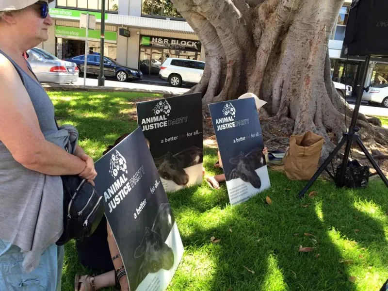 12642620 1047158858703805 7702141189481702494 n