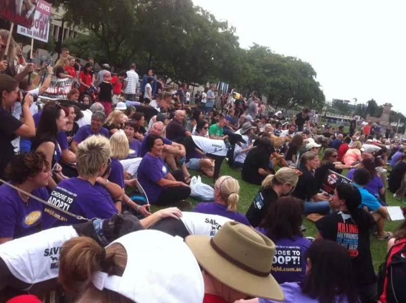 12642768 10154529300190299 2435617391891339422 n