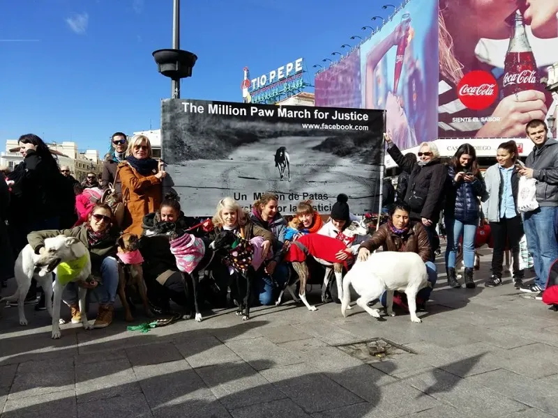 12644986 1256263337724350 6222337827386550208 n