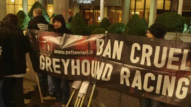 12645025 425991130944523 3709806362703515824 n