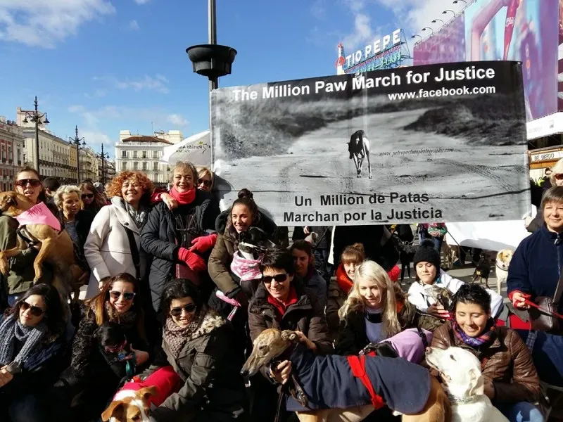 12645171 1256263297724354 5536601025447143715 n