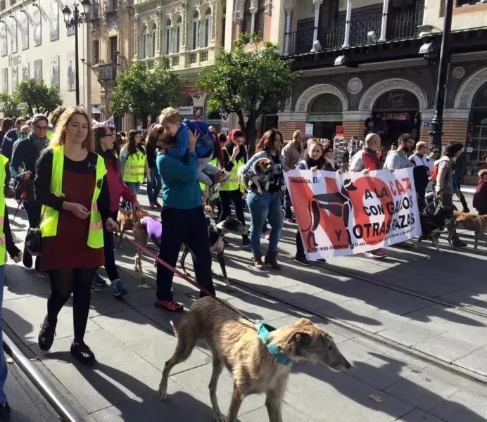 12645183 10156485539830494 3490561903779594186 n