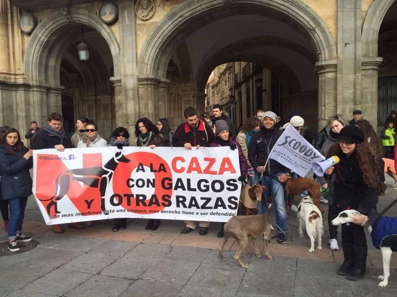 12646888 10206608387267083 394734269375052031 o