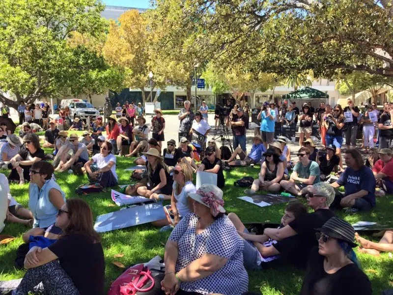 12647006 1047158888703802 7318894965547830113 n