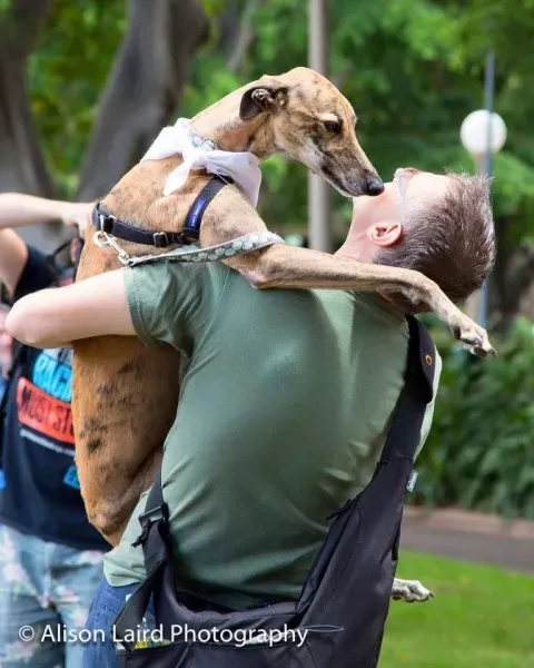 12647071 10154529269065299 2036577769833211082 n