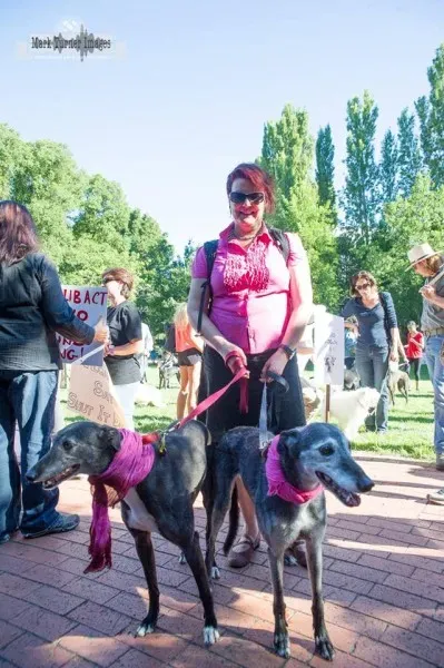 12647090 10154529312595299 7248942326718892107 n