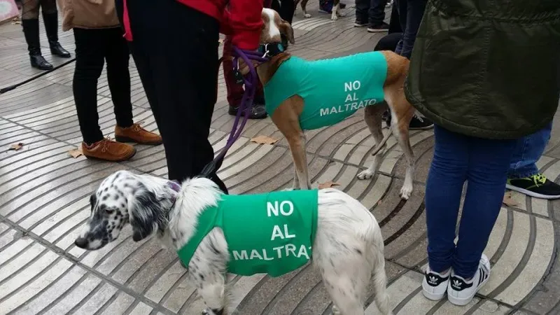 12647110 1262537150426883 1950941176662693088 n