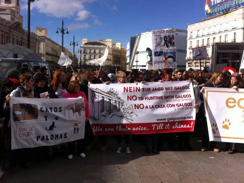 12647356 947137365383096 3215055871398256522 n