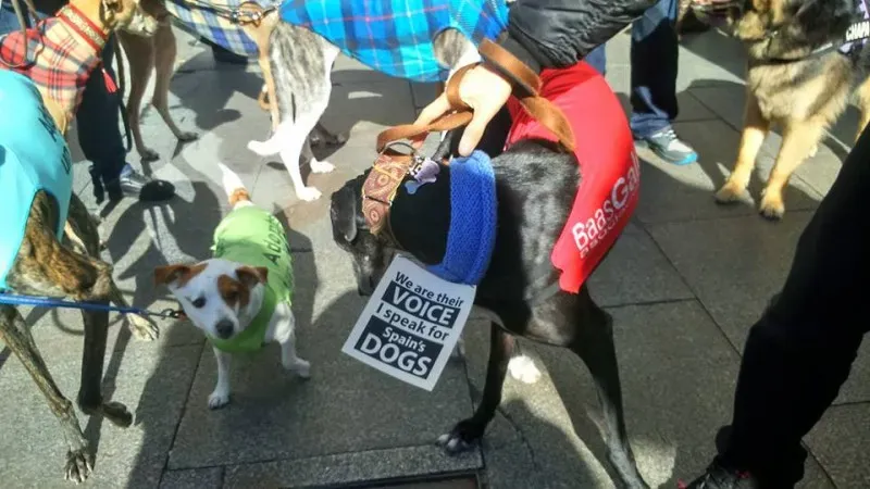 12647421 157239171323221 7068609749302513756 n