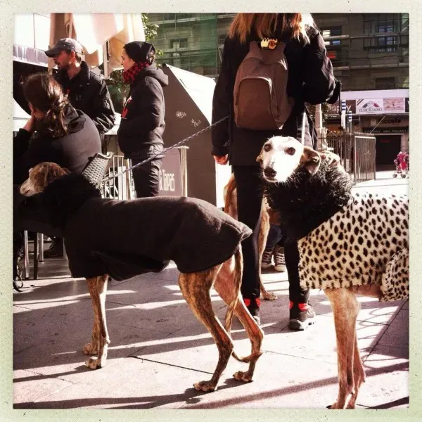 12647436 947137235383109 5850069260433582295 n