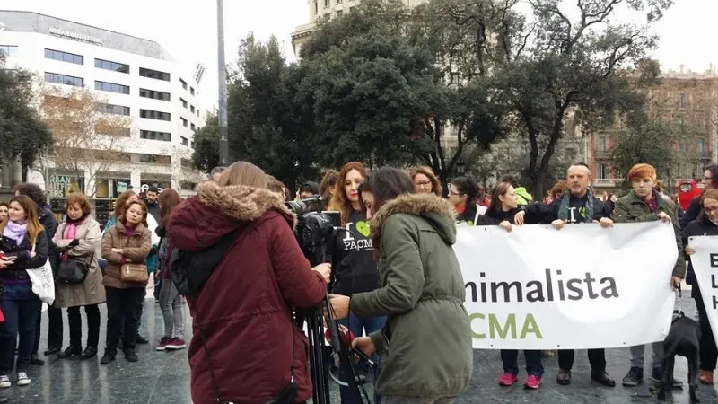 12650865 1262537330426865 6602040049610065646 n