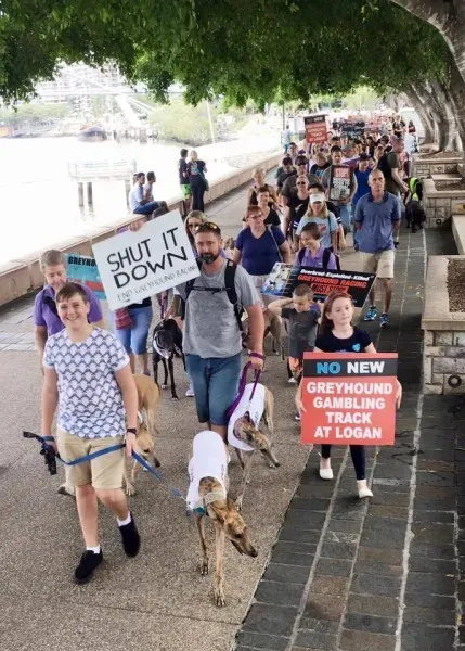 12650901 10154529300065299 1308064682426961926 n