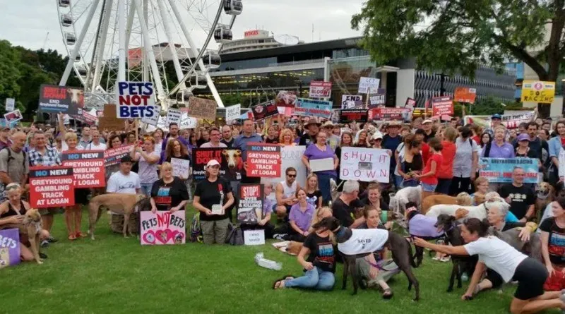 12650952 10154529300080299 3452998856870953205 n