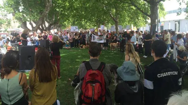 12650967 10154529307485299 4971760900631214927 n