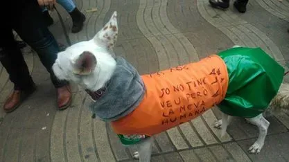 12650996 1262537043760227 9019166713688221263 n