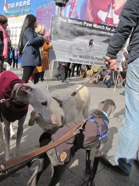 12651035 866960390098860 776678274587484034 n