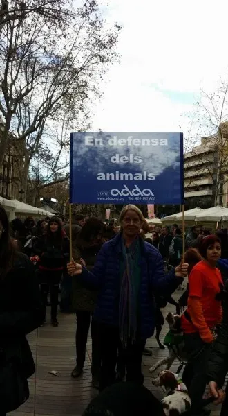 12651115 1262537083760223 5198907577113156628 n