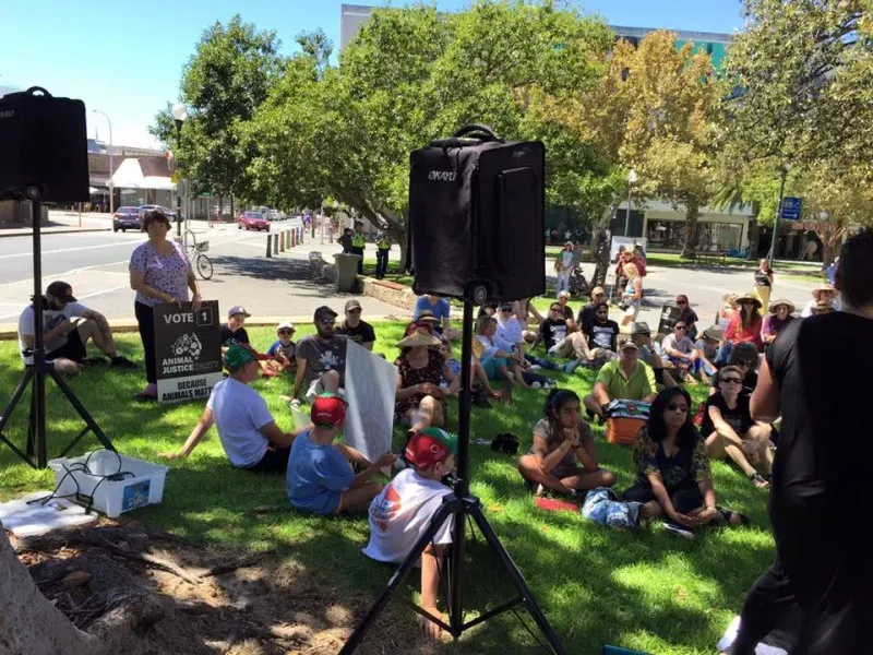 12651236 1047158812037143 237103422887339794 n