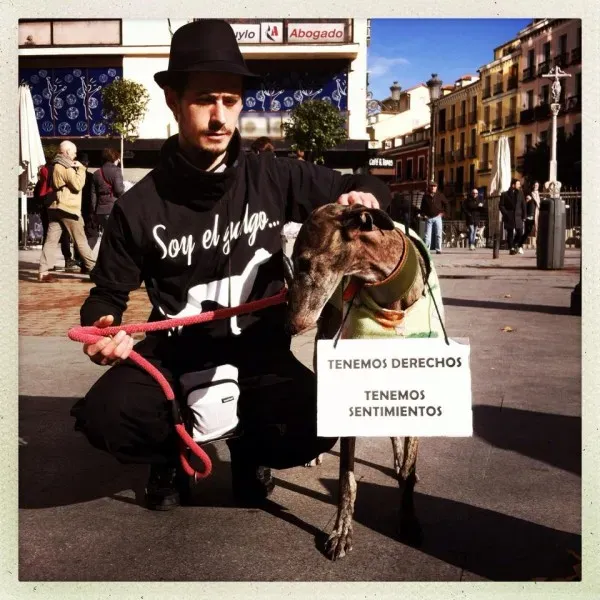 12651344 947137175383115 2546302161945279530 n