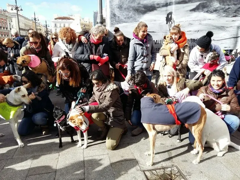 12651366 1256263201057697 6874451140719201649 n