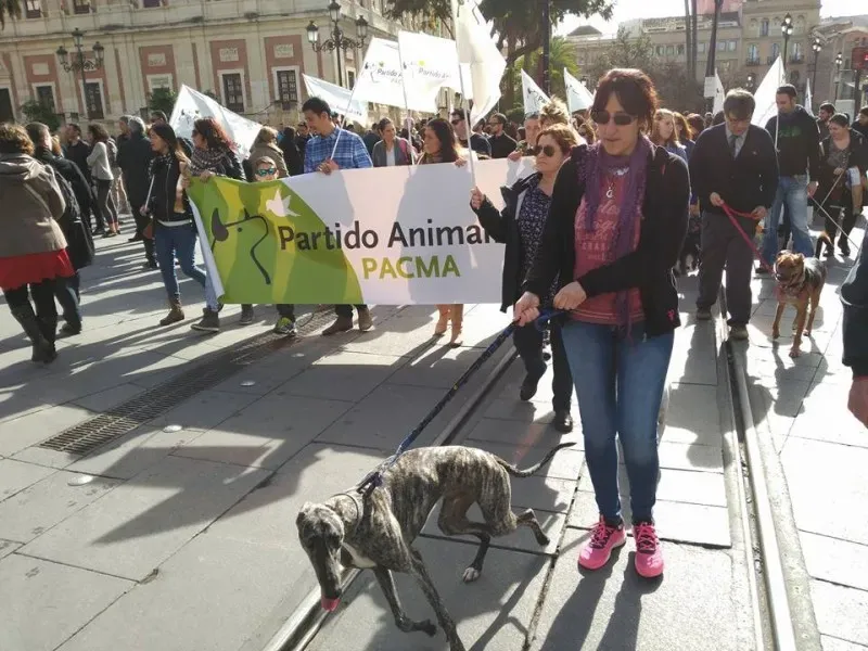 12654102 1172220102788077 7055465248673551159 n