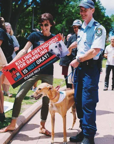 12654317 10154529269380299 2131281564568966578 n