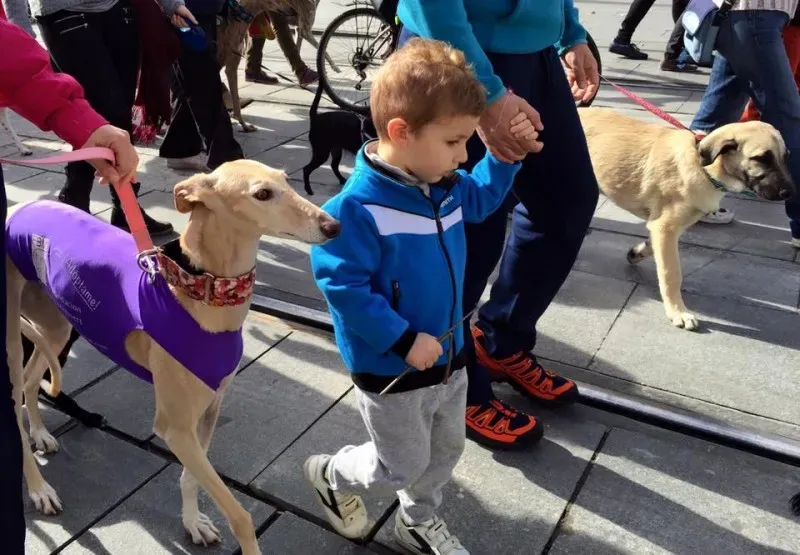 12654453 10156485539885494 125279197175127470 n